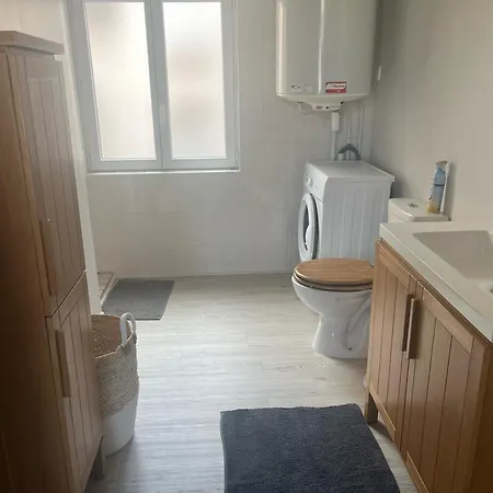 Apartman Les Betises, Duplex Hyper-centre *