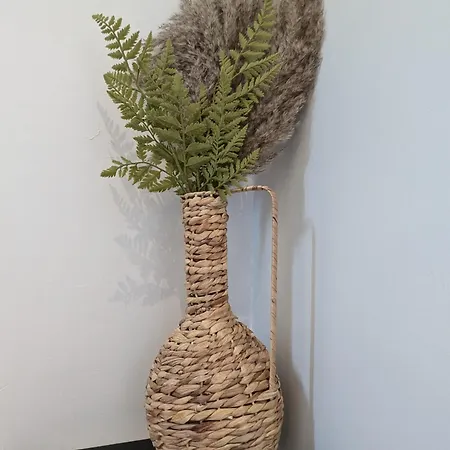 Les Betises, Duplex Hyper-centre Cambrai